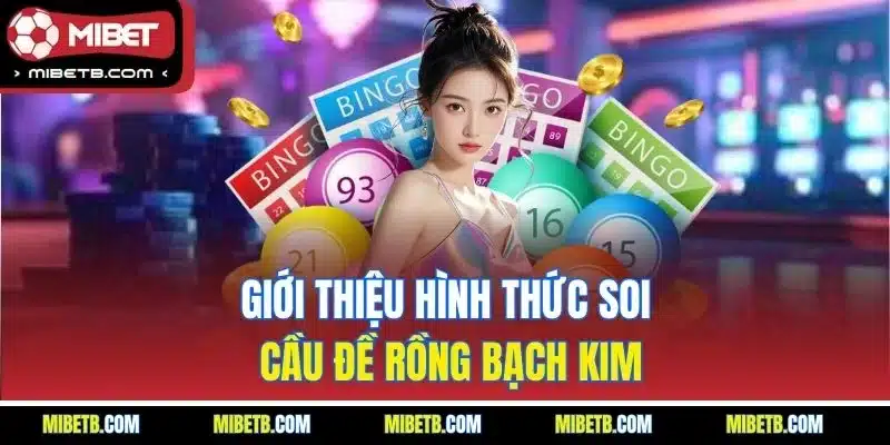 Giới thiệu hình thức soi cầu đề rồng bạch kim