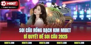 soi cầu rồng bạch kim mibet