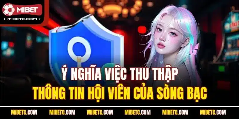 Quyền Riêng Tư Mibet - Bảo Vệ Thông Tin Người Chơi 5 Ý nghĩa việc thu thập thông tin hội viên của sòng bạc